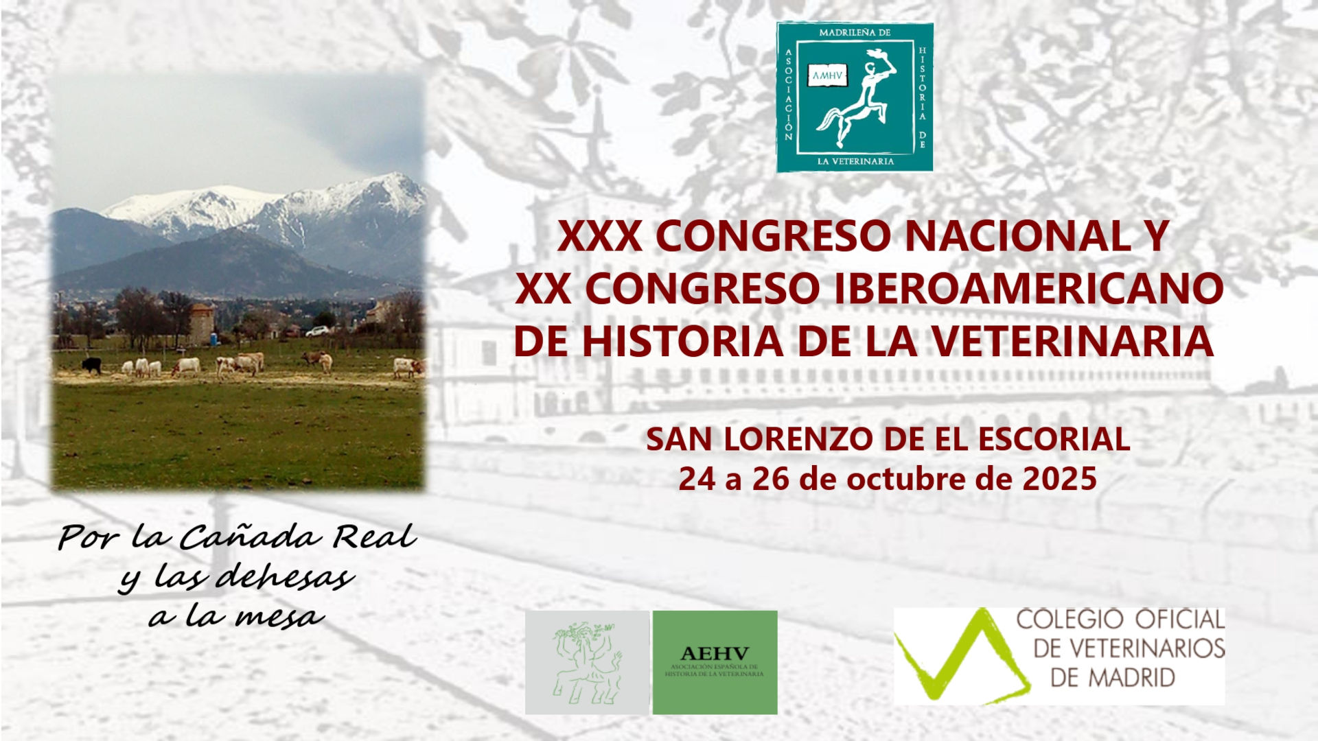 Congreso de Historia de la Veterinaria